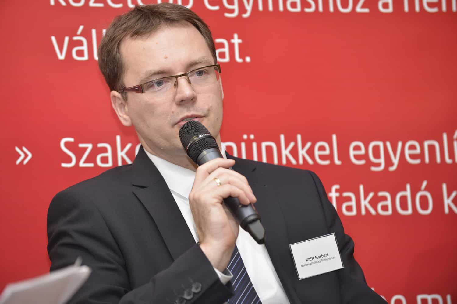 Norbert Izer, Stellvertretender Staatssekretär für Rechnungslegung und Steuerregelungen, Ministerium für Wirtschaft